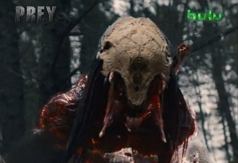 MassGrave's tweet image. Movie number 9 of #100HorrorMoviesin92Days is borderline horror, but the franchise is embraced by #horrorfans, so it counts for me. 
My ★★★★ review of Prey on Letterboxd boxd.it/36LgQz

#CollectionResurrection