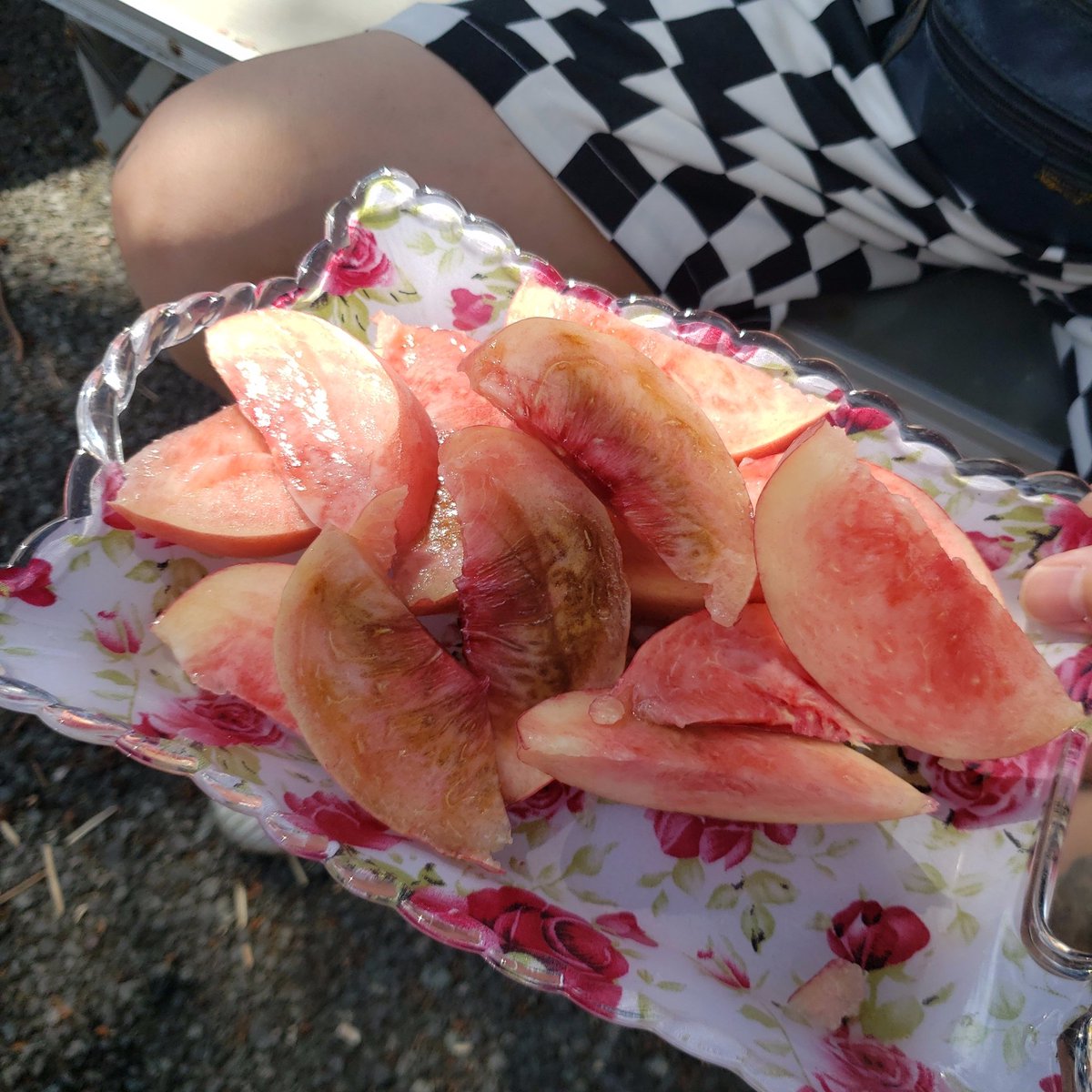 chou_choux's tweet photo. 昨日は河口湖から鳴沢氷穴に行ってみた🥶 夏には持ってこいのパワースポット✨ 施設の入口で桃売りのおじさんが居てその場で食べさせてくれるから折角なのでいただいてみたら🍑こんなに糖度が高い桃は初めて😋 春日居の桃は凄く甘くて美味しかった😋🍑 https://t.co/gSaNBHiykd