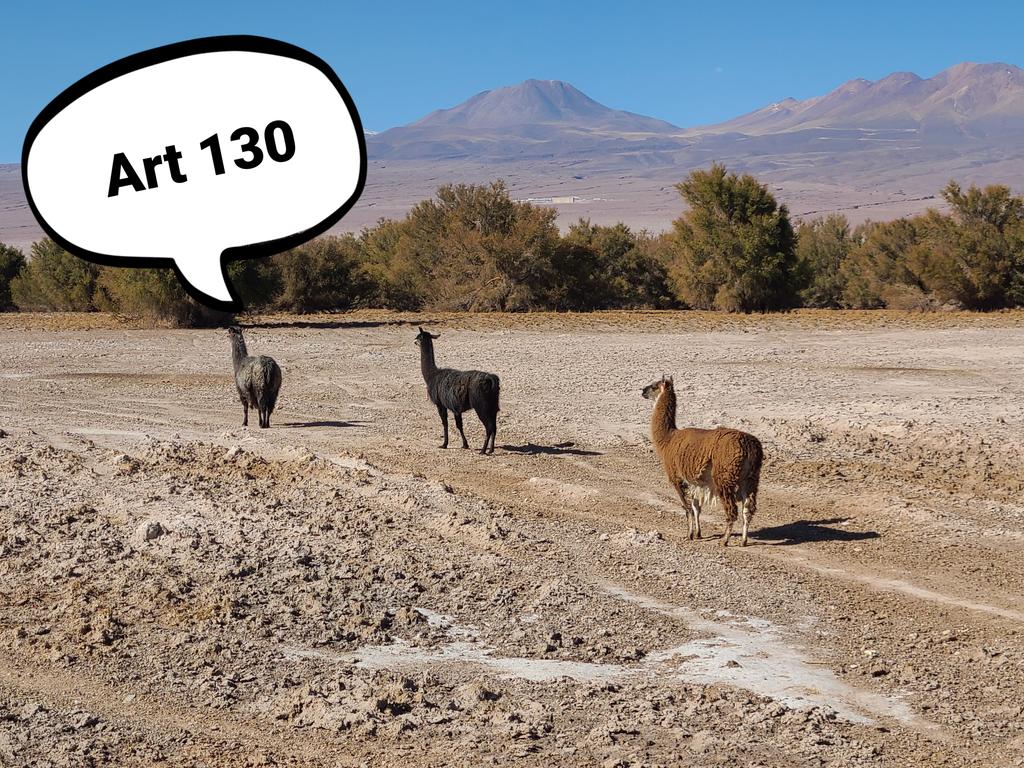 💬Las llamitas saben 🦙💜
Biodiversidad: "preservar, conservar y restaurar el hábitat de las especies nativas silvestres en la cantidad y distribución adecuada para sostener la viabilidad de sus poblaciones y asegurar las condiciones para su supervivencia y no extinción" #Apruebo