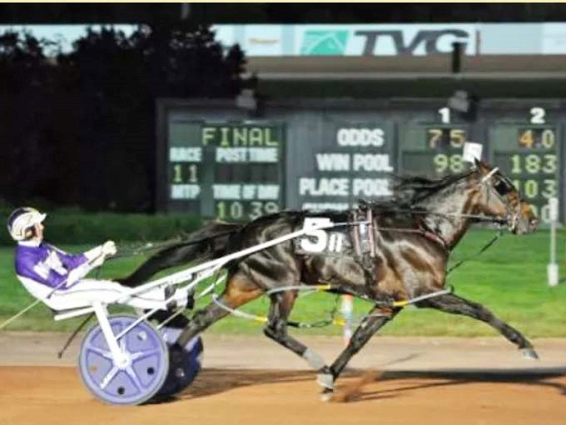 Yirribee Pacing Stud tweet media