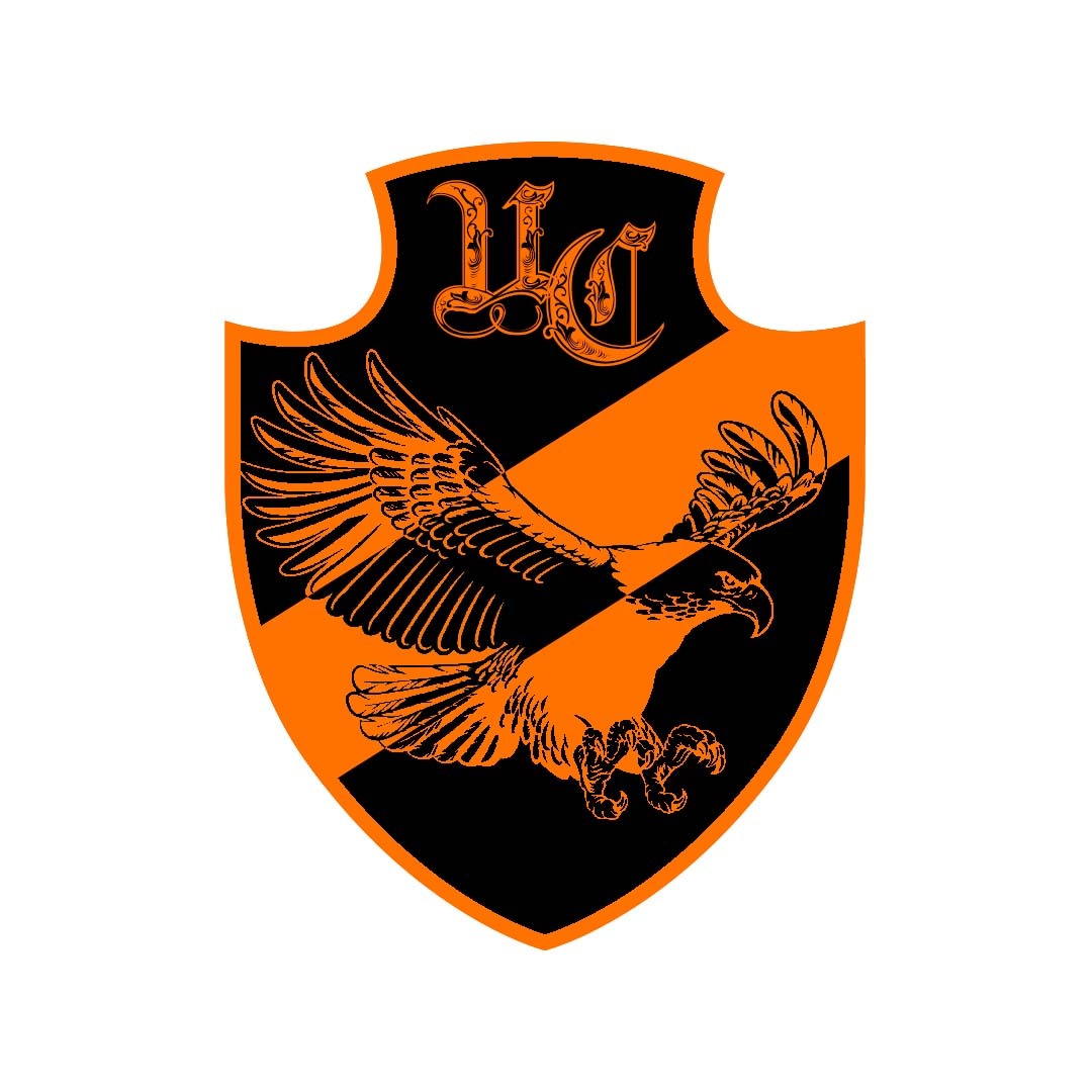 PRESENTAMOS EL UNION COPINA, CLUB QUE PARTICIPA EN @LigaSturridge Y PARTICIPARA EN <a href="/LigaCordobesaFF/">Liga Cordobesa de Fútbol Falopa ❁</a> BUSCAMOS CREADORES DE KITS Y JUGADORES, MD ABIERTO