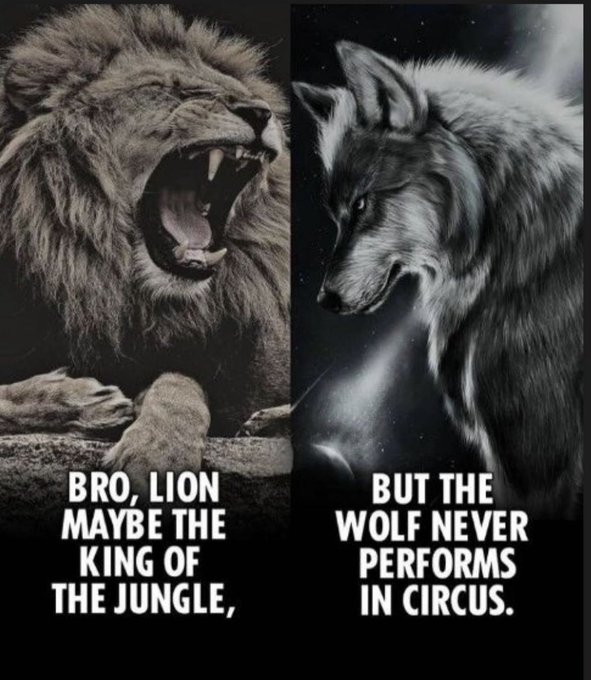 💯 https://t.co/a3GCIZLXcc<a href="/tag/anytimeanywhere"class="tags"><span>#anytimeanywhere</span></a><a href="/tag/anakaliyah"class="tags"><span>#anakaliyah</span></a><a href="/tag/hitmyline"class="tags"><span>#hitmyline</span></a>