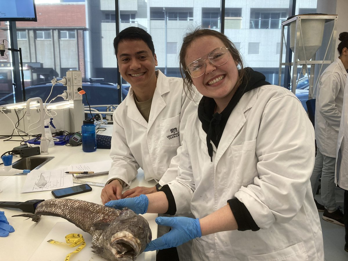 DriftersLab tweet media