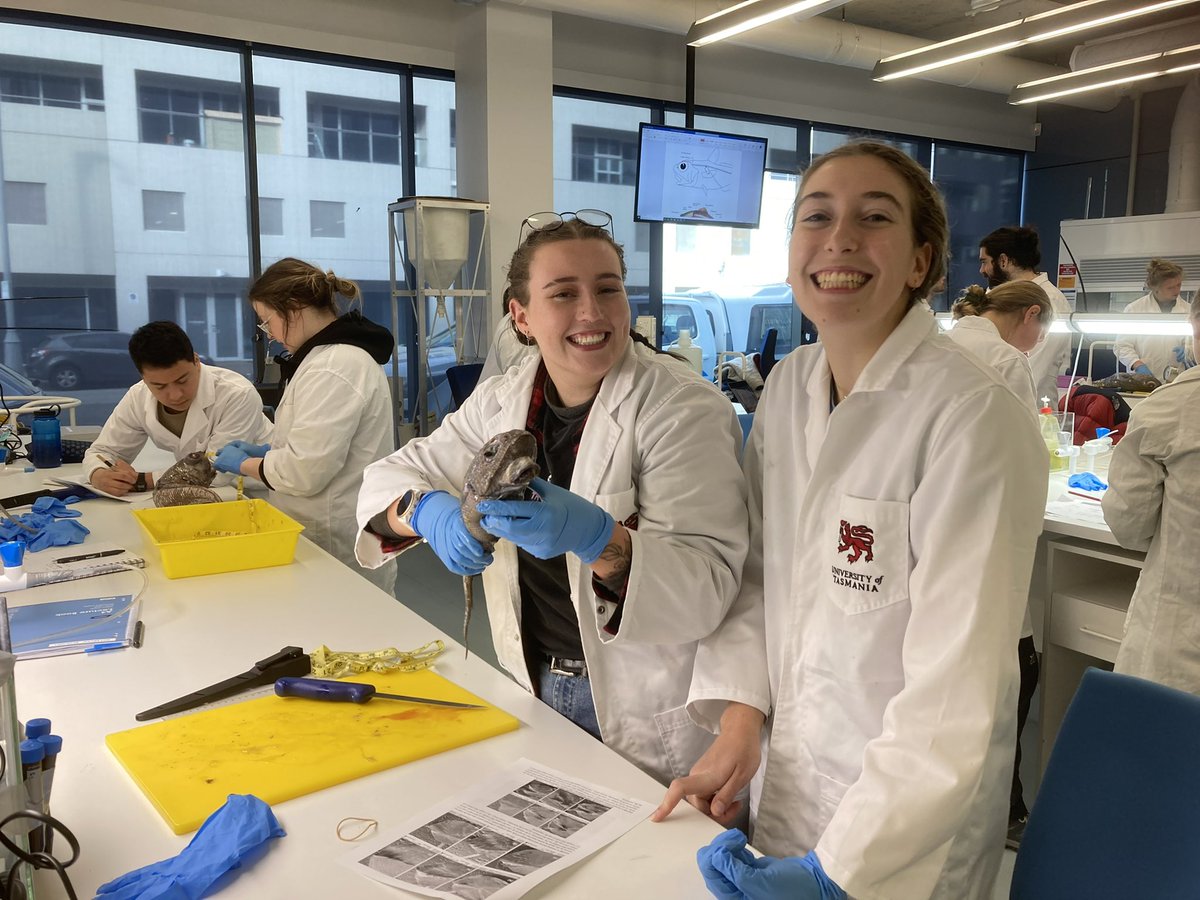 DriftersLab tweet media