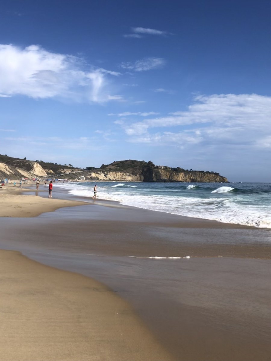 Thomas P200 Burke tweet media