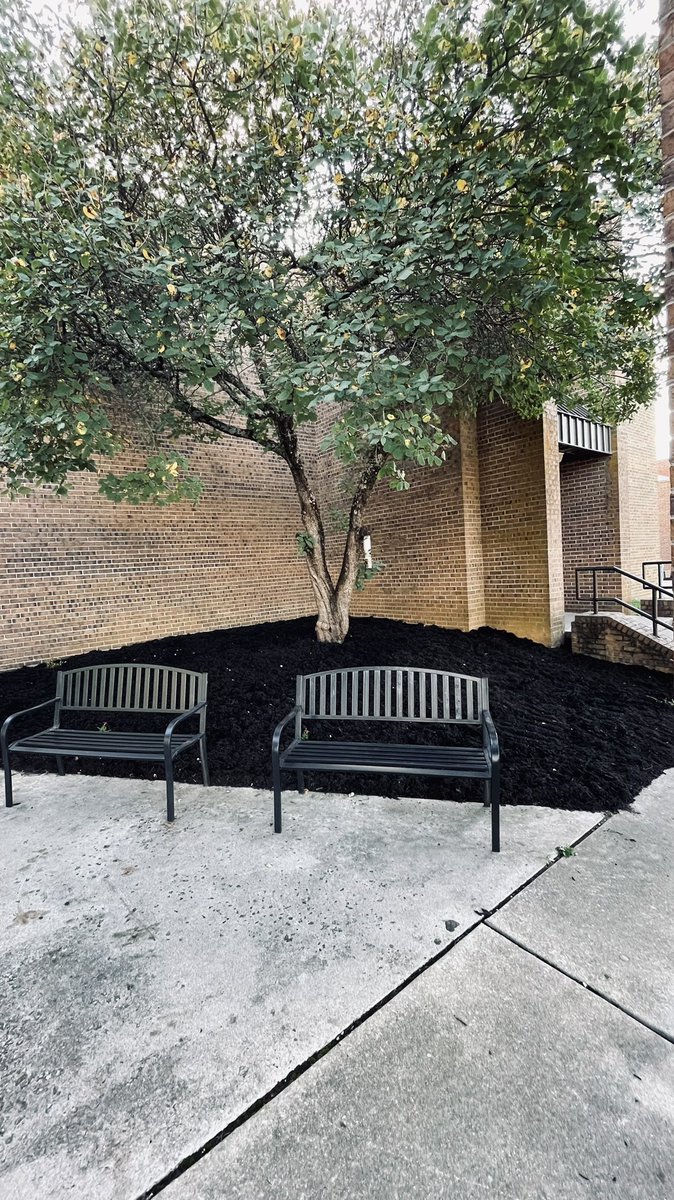 HallsMiddlePTA's tweet photo. We would like to give a huge shout-out to Southern Roots Lawn Care. They did a great job mulching around the school, and we truly appreciate all of their hard work! https://t.co/qukrsPnIWG