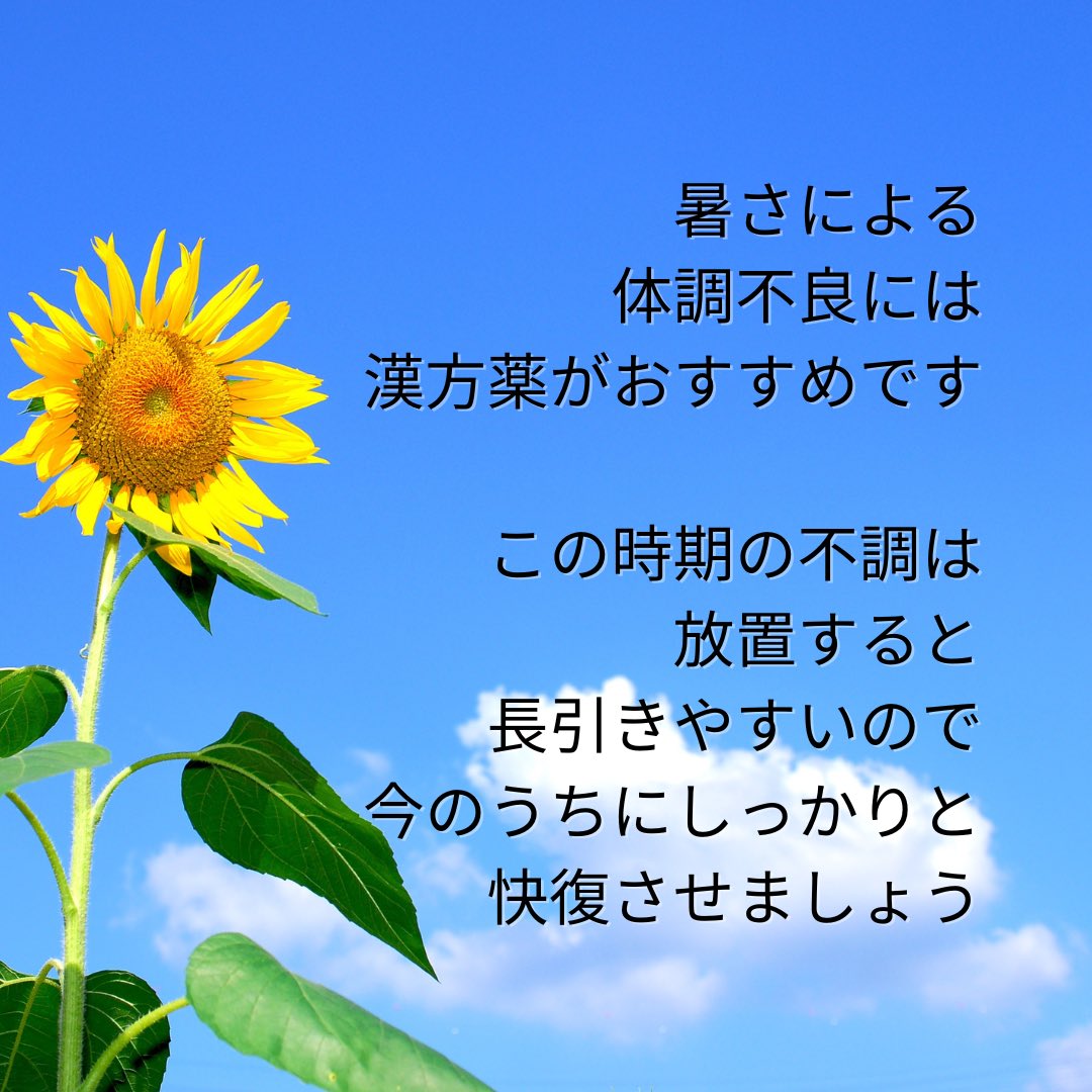 暑さによる体調不良。
放置は禁物です。
漢方薬で体を整えましょう。