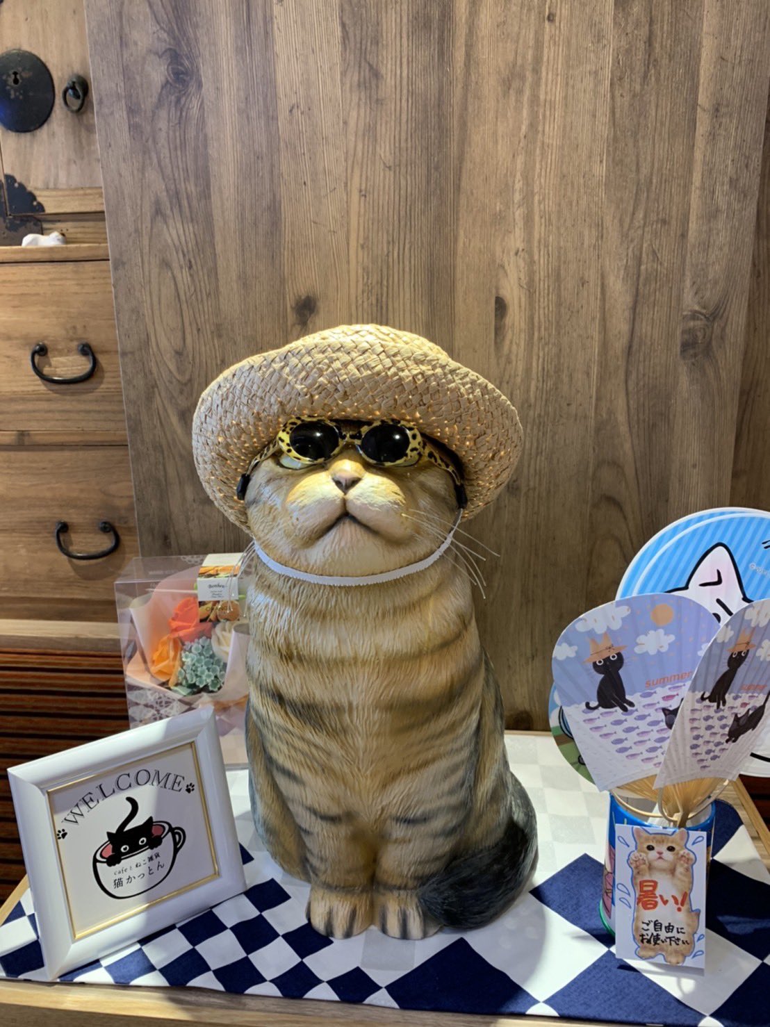 Cafeとねこ雑貨 猫かっとん Cafe Nekocatton Twitter