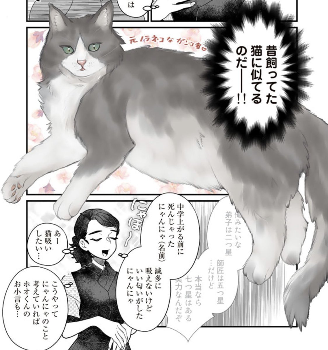 猫だけカラーで出てくる漫画描いてます
https://t.co/B0FQhG8H8d
#世界猫の日 #異郷の爪塗り見習い