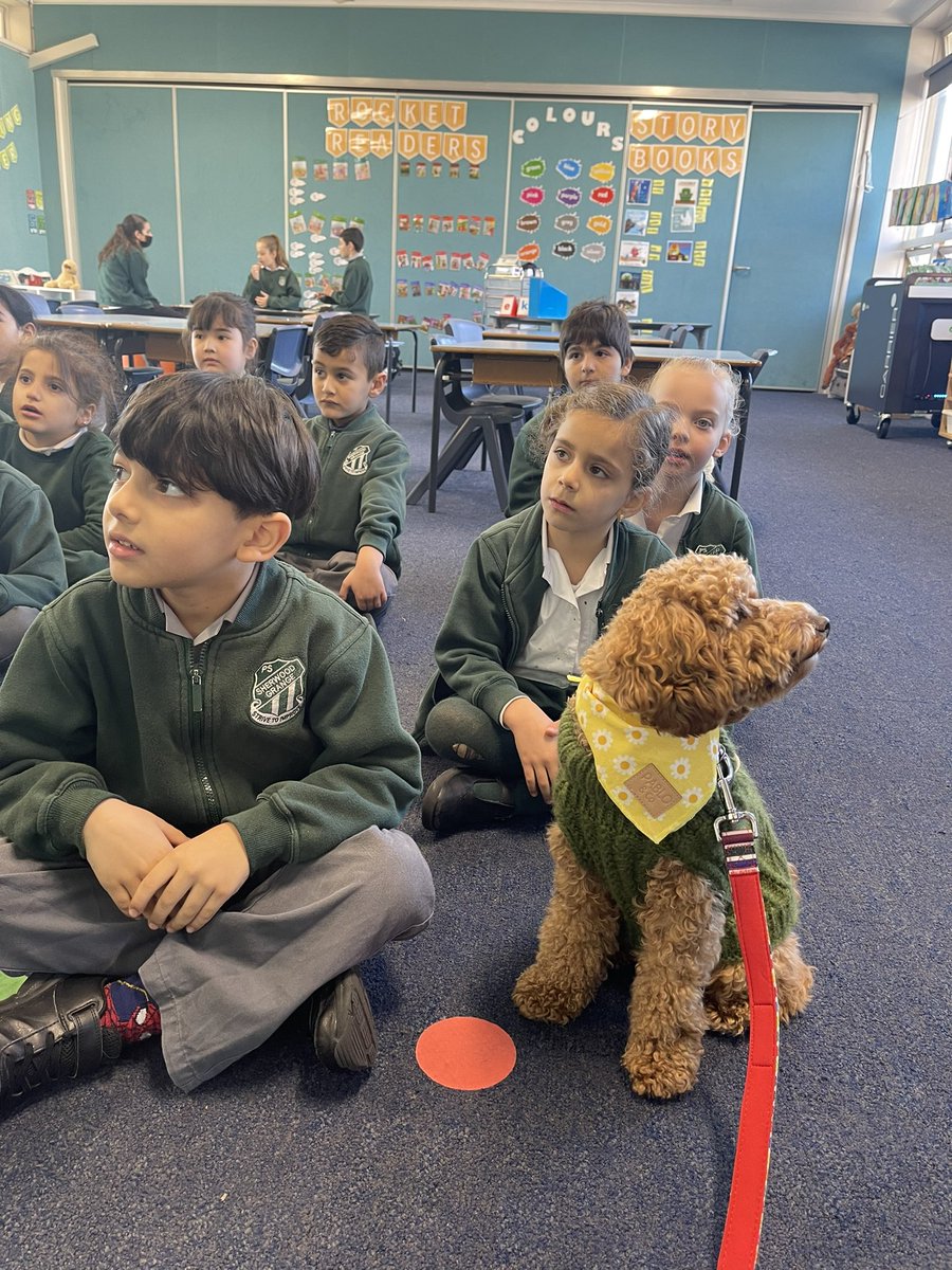 kimelyset1's tweet photo. Millie visiting Kindy today to hear students doing their best addition strategies and sharing their writing. KL even showed Millie how to do Whole Body Listening. @Sherwood_Grange https://t.co/Bxbt3zbrfn