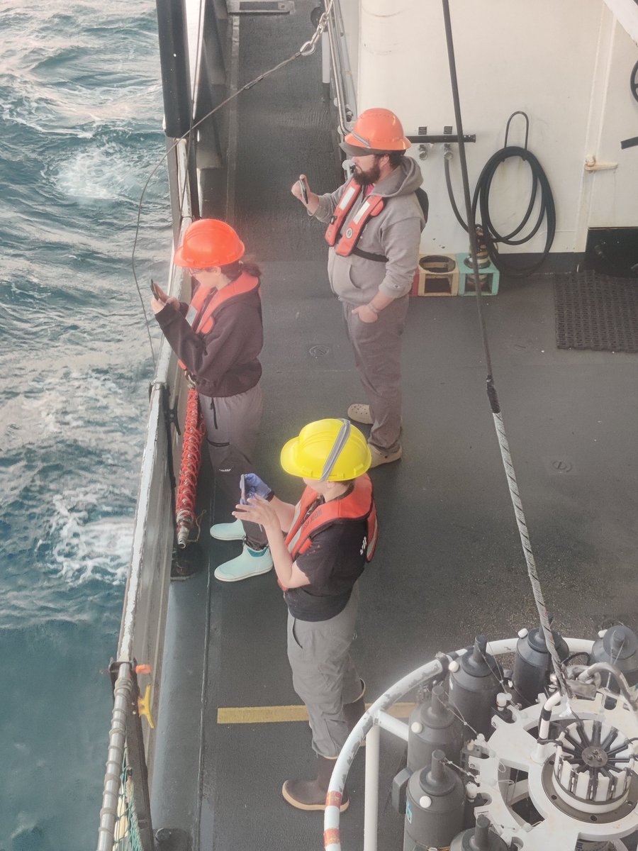 Lee87560801's tweet image. #science @samengst