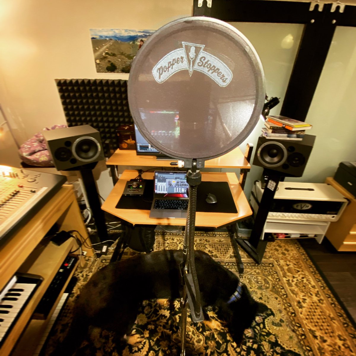 Proper studio technique for recording vocals today includes having a large German shepherd puppy pouncing on my mic stand each take. It helps the acoustics.

#puppylife #germanshepherd #homestudio