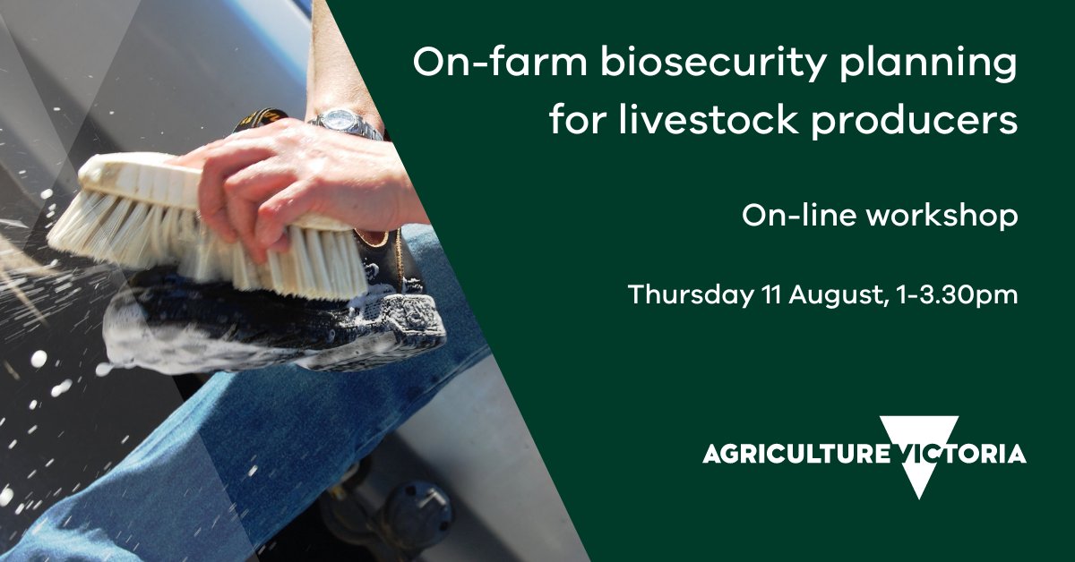 Do you have a biosecurity plan for your farm?

Find out how to develop a plan at our our on-farm biosecurity planning webinar this Thursday 11 August.

Register at: agriculture.vic.gov.au/events 

<a href="/meatlivestock/">Meat & Livestock Australia</a> <a href="/woolinnovation/">Australian Wool Innovation</a>
<a href="/animalhealthAUS/">Animal Health Australia</a> 
@vfflivestock 
<a href="/Dairy_Australia/">Dairy Australia</a>