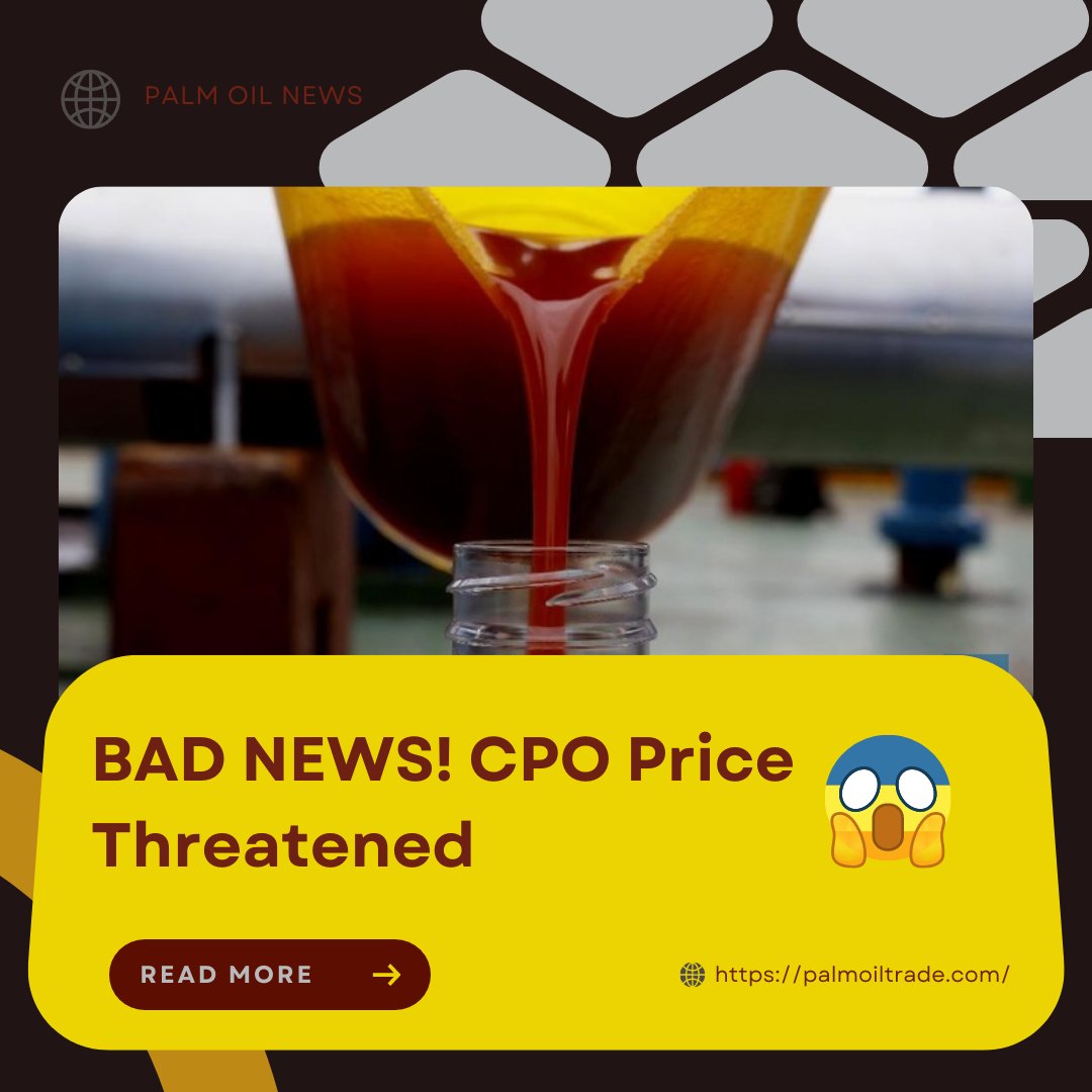 InPalmoiltrade's tweet photo. The price of crude palm oil (CPO) is predicted to move in the range of MYR3,500-4,000 per ton. Analysts assess, CPO prices will still fluctuate looking for a new balance.

Read more https://t.co/i7RxNbru0s

#palmoil #cpoprice #palmoilindustry https://t.co/I1aK2PoHJr