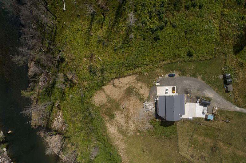 The Orange One tweet media