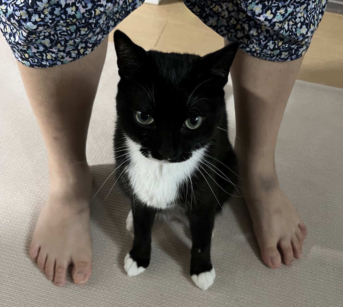 "엄마는 내가 지킨닷!!!"