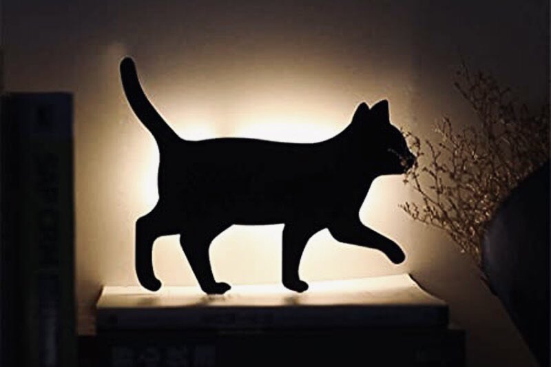hakkenjpn's tweet photo. 8月8日、#世界猫の日 だそうです🐈‍⬛
最近たくさん見た場所というと、やはりこちら。不気味かわいい化け猫アート大集合。どの子が好きですか？
＃和のあかり2022 #百物語 #百段階段 https://t.co/lN7kzNEr3C