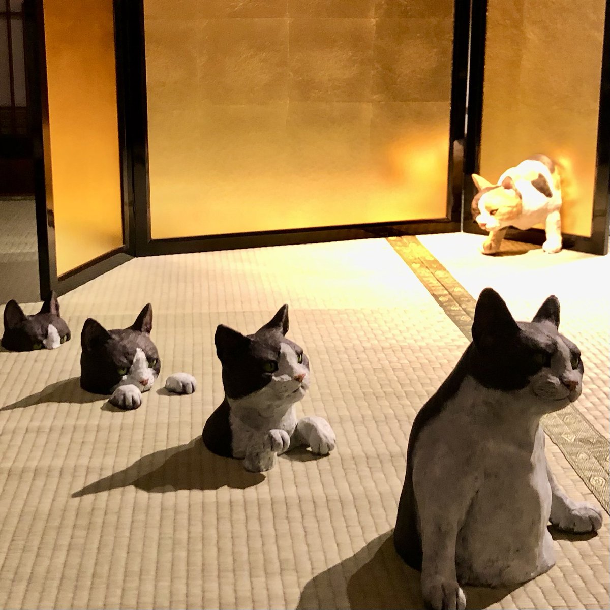 hakkenjpn's tweet photo. 8月8日、#世界猫の日 だそうです🐈‍⬛
最近たくさん見た場所というと、やはりこちら。不気味かわいい化け猫アート大集合。どの子が好きですか？
＃和のあかり2022 #百物語 #百段階段 https://t.co/lN7kzNEr3C