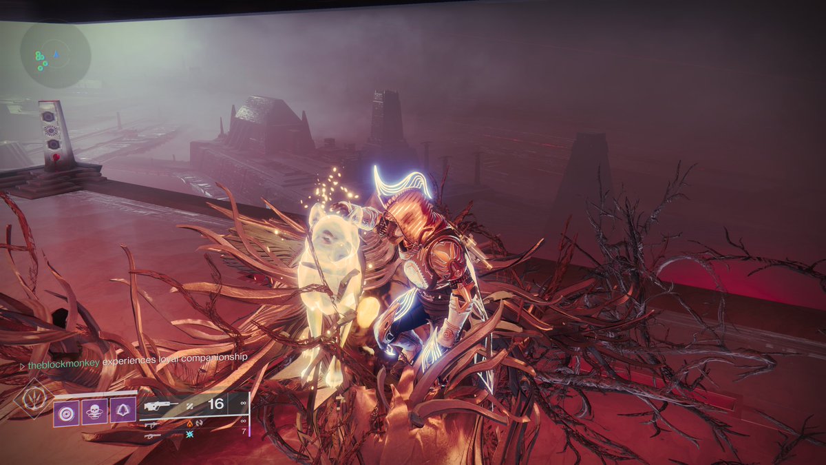 blockmonkey's tweet photo. So very proud of our Friday Night #RaidTeam - we did #VowOfDisciple in only 1hr 44mins #Destiny2 https://t.co/JYb1Neiigc