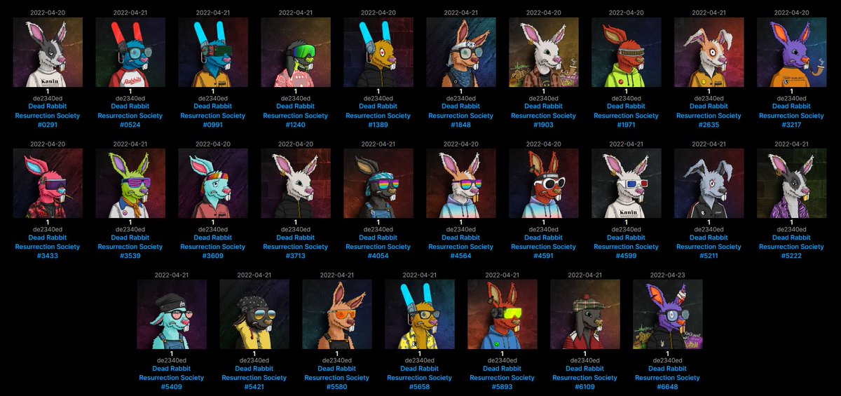 ShaneRSGTi's tweet photo. Since I stumbled across @DeadRabbitRS back at 300 discord members I've been bullish. Unfortunately, 8 of these guys are going to get exiled during the upcoming burn event! #cnft #nft #ada #cardano #bluechip #DOTRS #drrs #digitalart #art #community #irlevents #organic https://t.co/UZmn2iI7dB