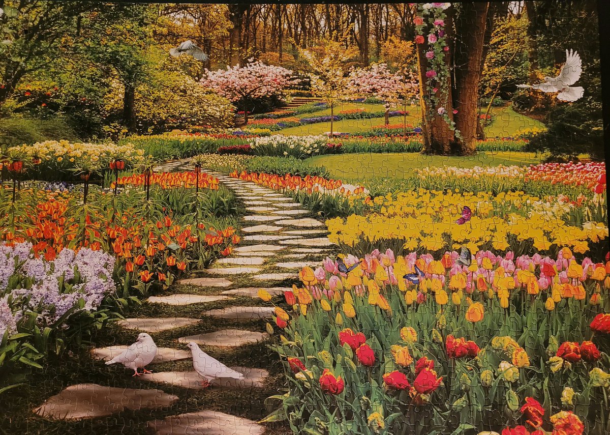 Allisen Gaudet (@allisengaudet) on Twitter photo Finished but had to jam in the final wonky piece. Note to self: stick with puzzles from reputable makers like <a href="/RavensburgerNA/">Ravensburger North America</a> from now on, this was less pleasure amd more frustration! #Jigsaw #puzzle Finished but had to jam in the final wonky piece. Note to self: stick with puzzles from reputable makers like <a href="/RavensburgerNA/">Ravensburger North America</a> from now on, this was less pleasure amd more frustration! #Jigsaw #puzzle