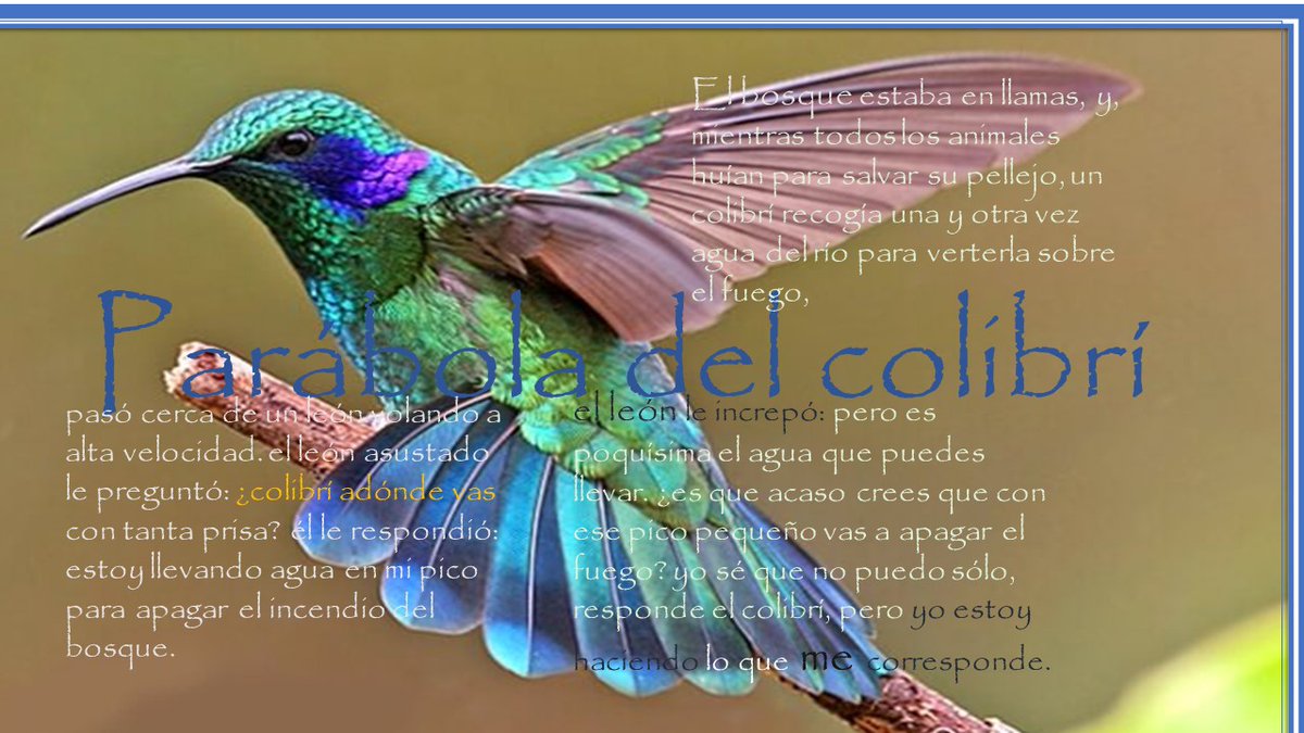 pepe grillo tweet media