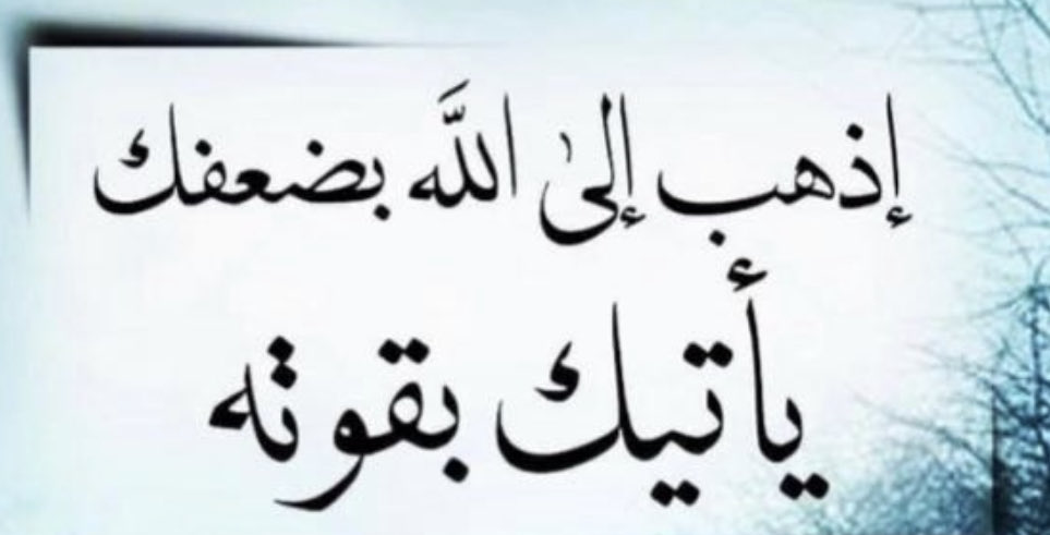 pQGTOJalwxat9dn's tweet photo. https://t.co/AEBGLn5KkZ
