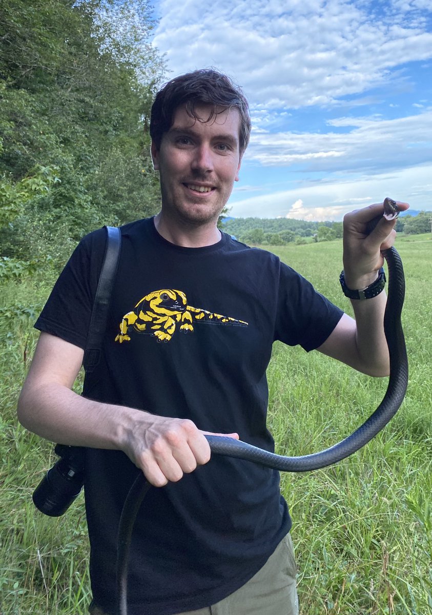 Dr Steven Allain (@stevoallain) on Twitter photo Ecstatic that my first North American snake is the black racer, this guy has obviously heard about me through the colubrid grapevine! What a welcome! The snake is part of a monitored population, just outside of Knoxville. #GARD2022 #Herpetology #Reptiles #Snakes Ecstatic that my first North American snake is the black racer, this guy has obviously heard about me through the colubrid grapevine! What a welcome! The snake is part of a monitored population, just outside of Knoxville. #GARD2022 #Herpetology #Reptiles #Snakes