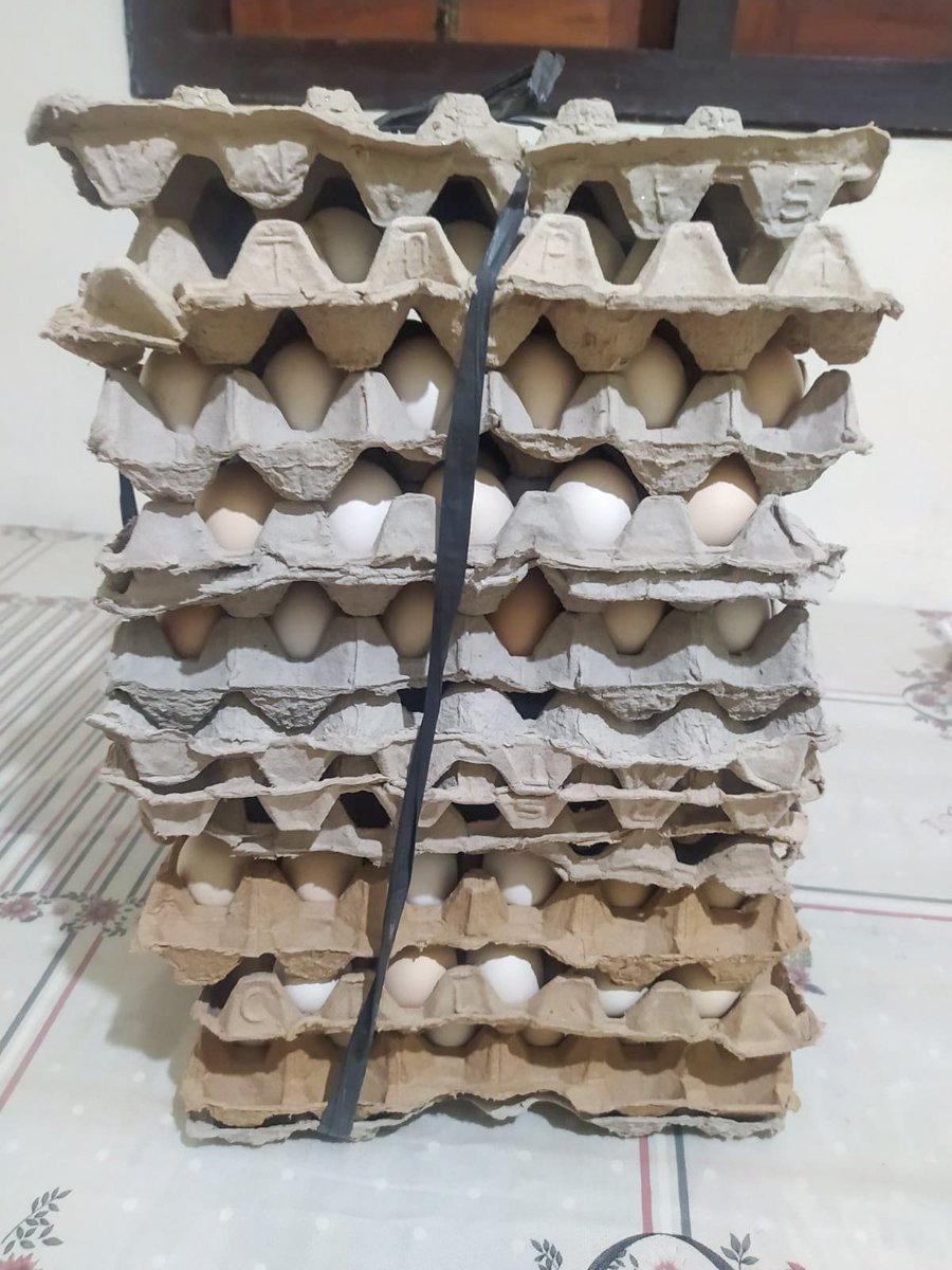 haar_harr's tweet photo. Sedia Telur Ayam Kampung, jenis ayam (Kampung Unggul Balitbangtan)
#telur #ayam #telurkampung #telurayamkampung #ayamkampung https://t.co/r40gkv4Z4s