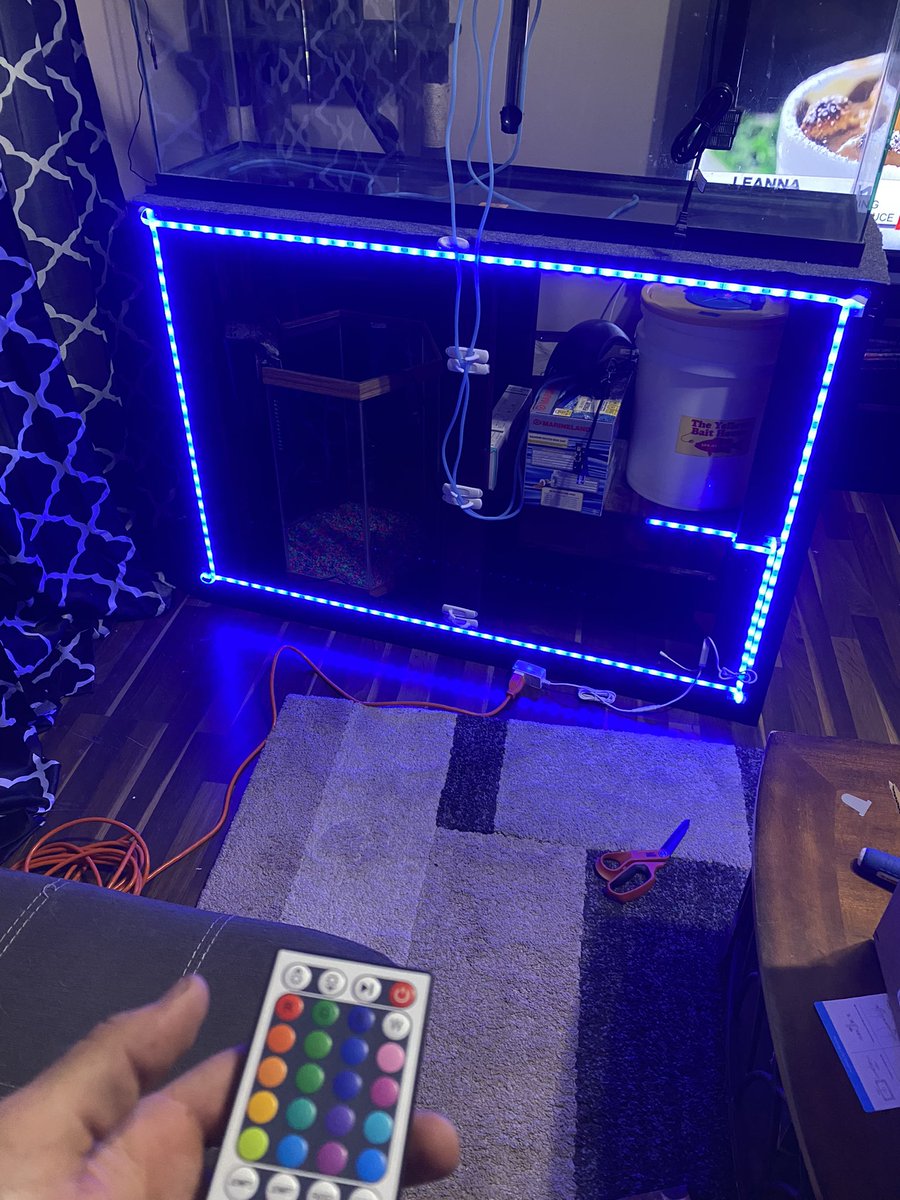 Codstersss's tweet photo. Getting closer 🐠🐠🌊🌊 https://t.co/oDwyGKtoFF