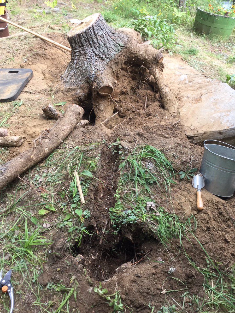 Before during & after.
Just a little post Derecho repair in the HEAT & HUMIDITY this weekend.
Turned out we could NOT get it level again until removing a HUGE rock that had been heaved up underneath with the falling over tree. So we added that rock to the path also! https://t.co/DyrDxkQRTc