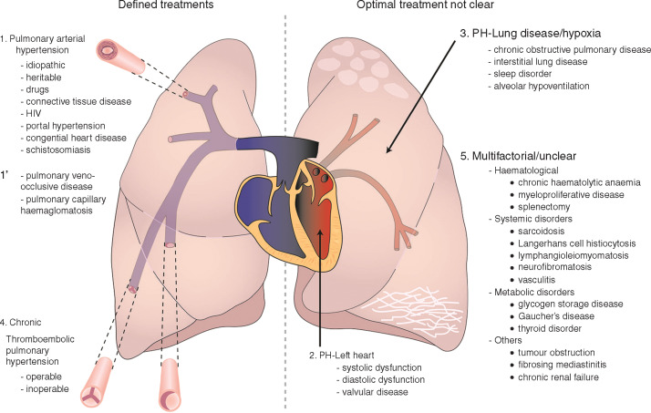 NephroPOCUS tweet media