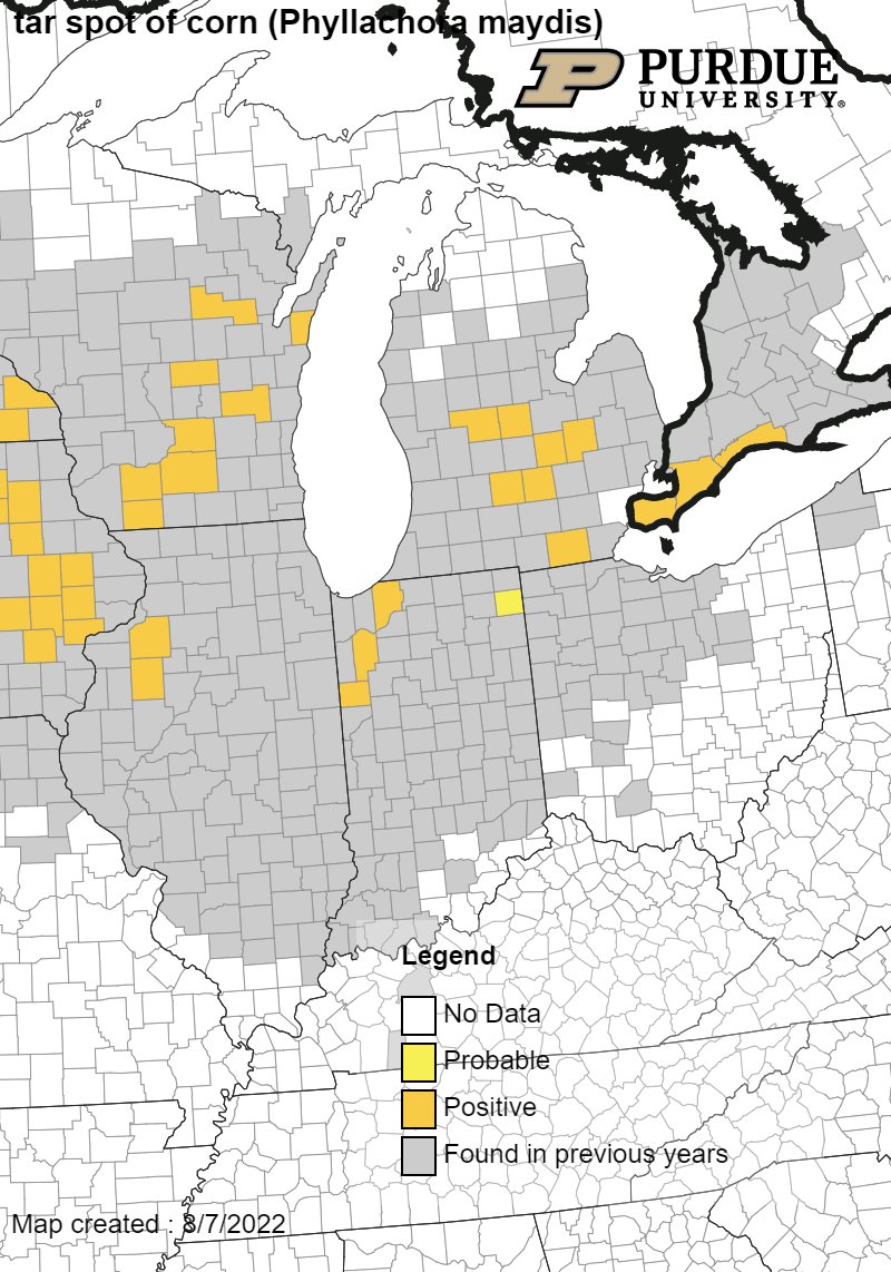 Tar spot has been found in few more locations in Indiana. Time to get out and scout. Please help us track by submitting samples to our Purdue Plant Pest and Diagnostic Lab. There's no charge for Indiana samples thanks to support from <a href="/IN_Corn/">Indiana Corn Growers Association</a> ag.purdue.edu/department/btn…