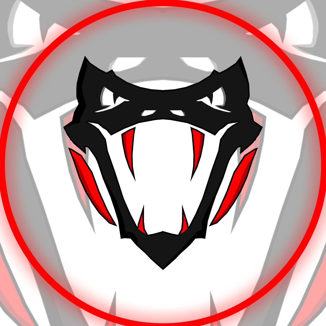 Branson Vipers tweet media