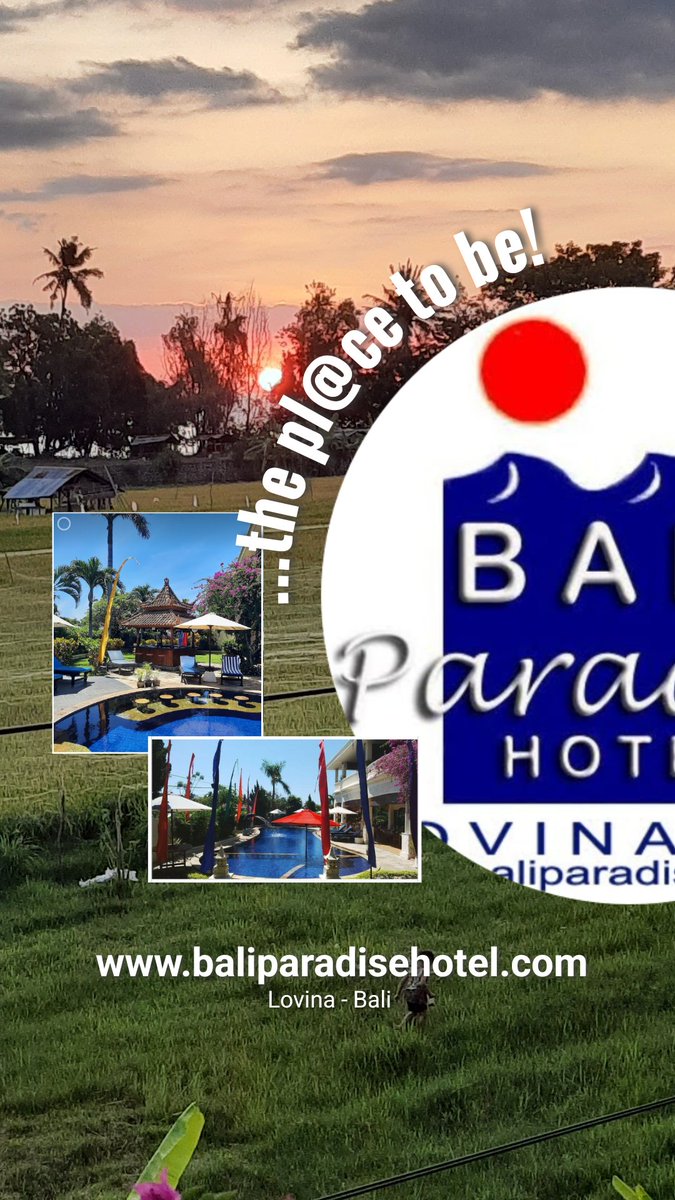 BPHLovina's tweet photo. Visit lovely Lovina in North Bali, its worth the trip, see the Dolphins, Waterfalls, Ricepaddies, great sunsets and lovely relaxing beaches! https://t.co/RF45SlsVUL https://t.co/rCCqEmCMsc