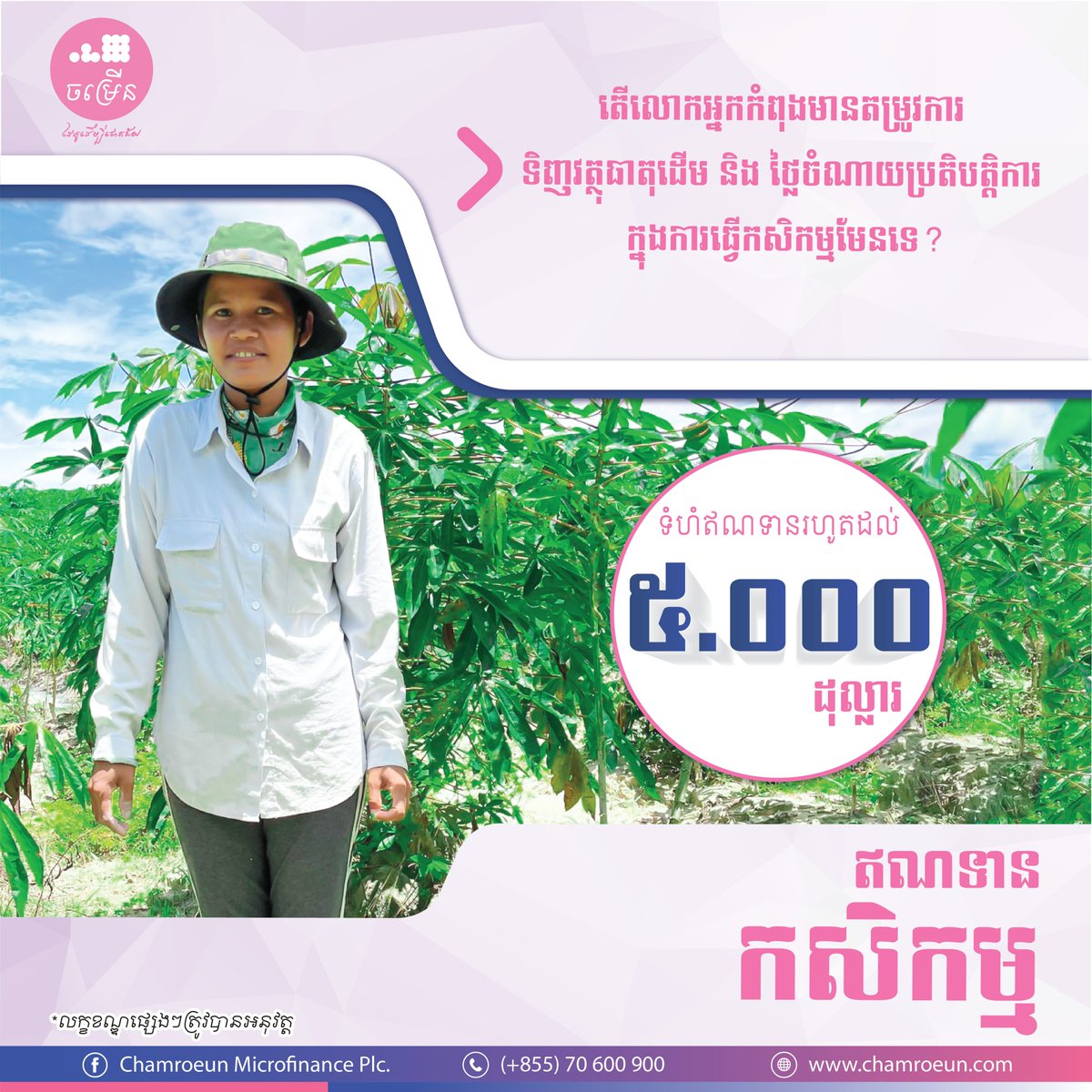 ChamroeunPlc's tweet photo. 👍 ឥណទាន កសិកម្ម
👉 បំពេញតម្រូវការដៃគូ និងសហគ្រិន ក្នុងវិស័យកសិកម្ម
🔎 សម្រាប់ព័ត៌មានបន្ថែម 📲 070 600 900
#cmp #cmpmfi #ChamroeunMFI #ដៃគូដើម្បីជោគជ័យ #agricultureloan https://t.co/Vs2B1WdF2o