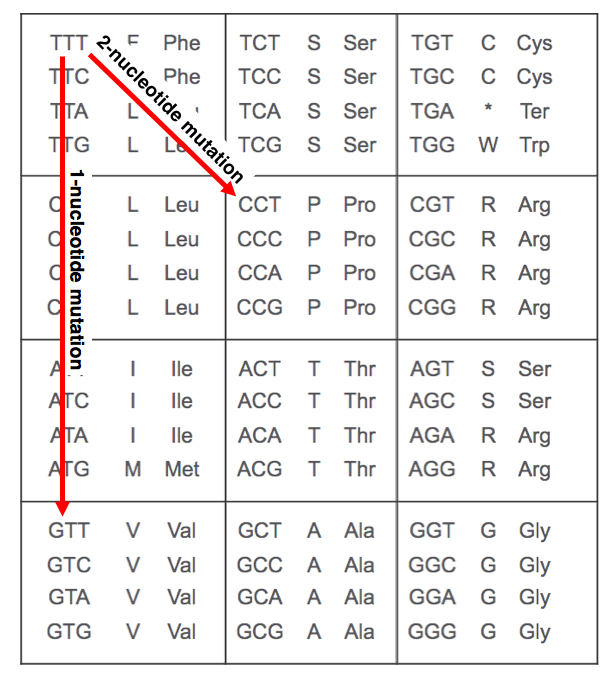 Bloom Lab on Twitter "So variants like XBB/XBB.1 fixed mutation (F486S