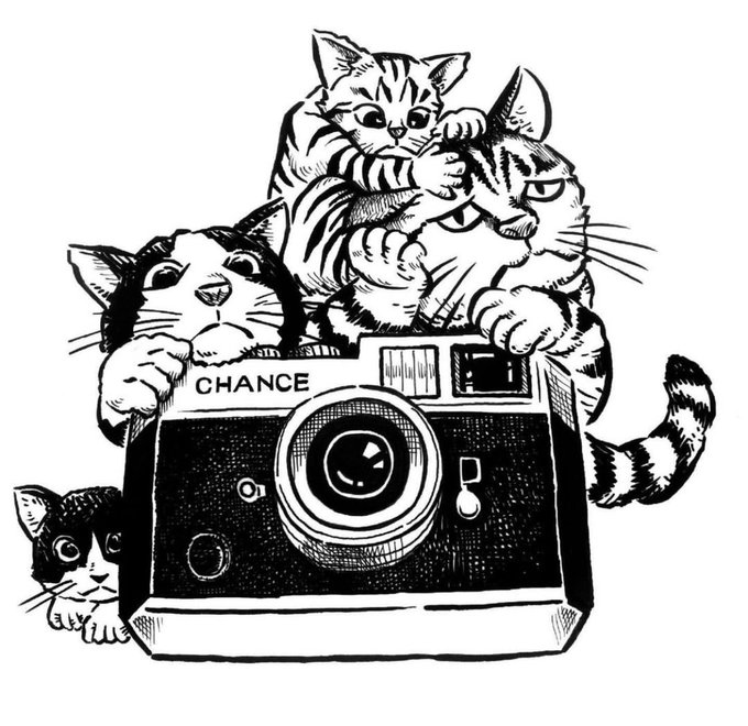 #WorldCatDay #世界猫の日 