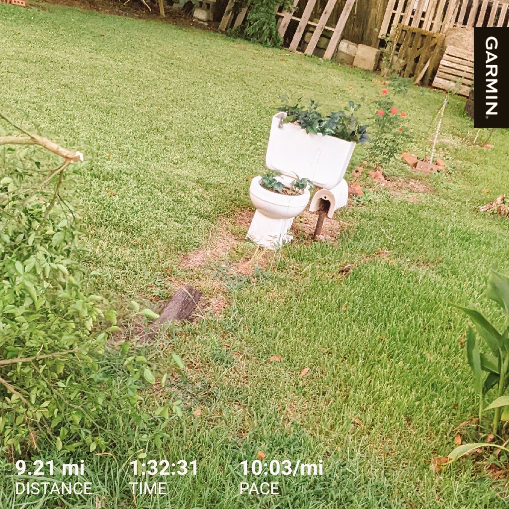 tcrotwell's tweet photo. #OnMyRun saw a strong candidate for yard of the month. #garmin #running https://t.co/4ui5JDZAs7