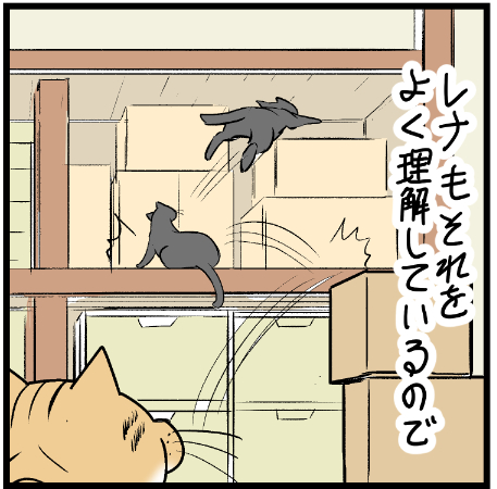 キミはレナと同じだと考えているのかい?ミュウくん(汗)
 #ニャンコ #まんが #猫 #猫あるある #猫漫画 #ペット #飼い主 #エッセイ漫画 #キャット #ねこのいる生活 #4コマ 