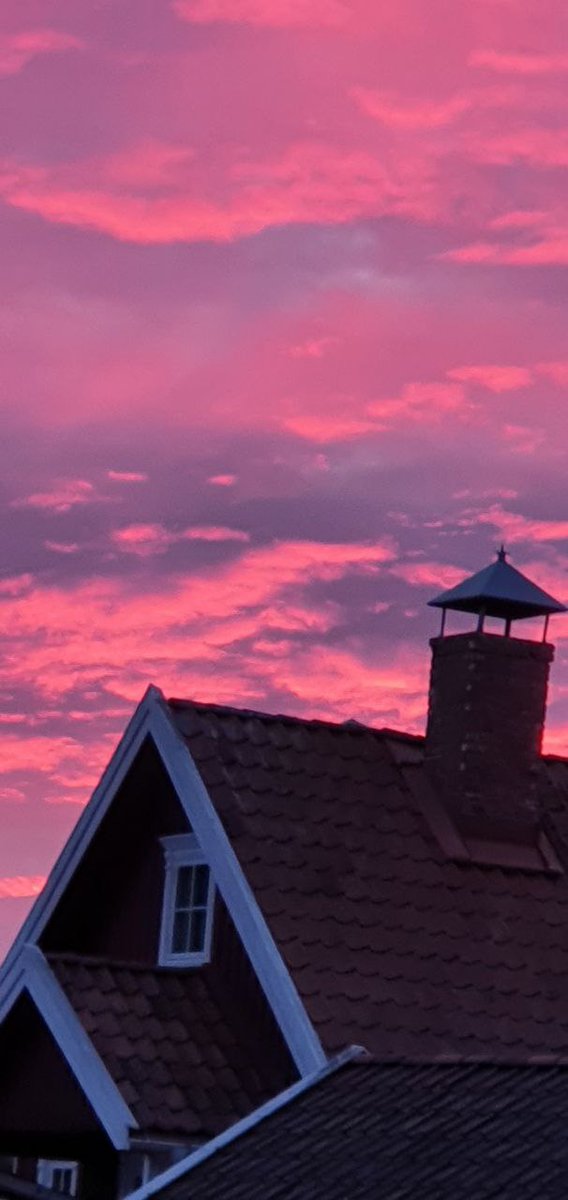 Tata Oalsen/HALQtm tweet media