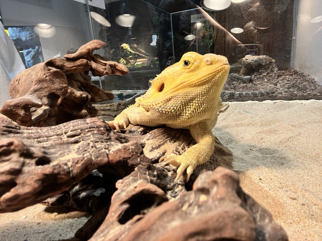 abc12345151's tweet photo. 🥰 https://t.co/482AL6tMg8