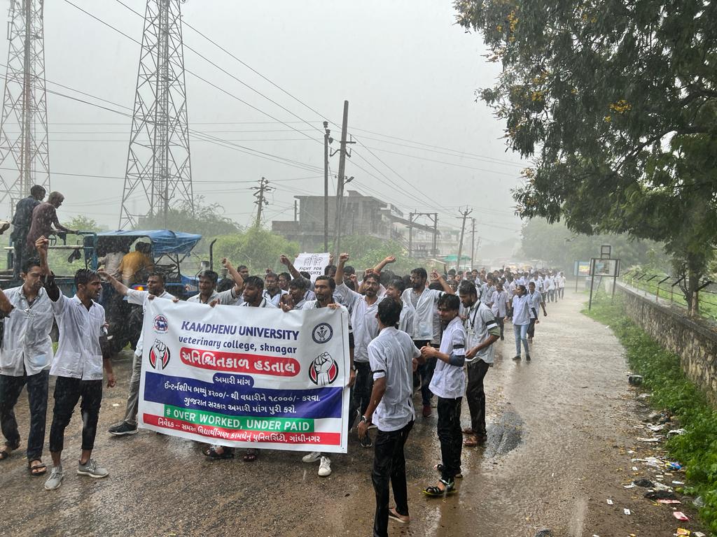 આજરોજ હડતાલના સાતમા દિવસે દાંતીવાડા વેટરીનરી કોલેજ કામધેનુ યૂનિ. ના વિધાર્થીઓએ ધોધમાર વરસાદની વચ્ચે રેલી યોજી મામલતદાર શ્રીને ફરી આવેદનપત્ર આપી, અમારી માંગ સ્વીકારવા રજૂઆત કરી.
<a href="/CMOGuj/">CMO Gujarat</a> <a href="/Bhupendrapbjp/">Bhupendra Patel</a> 
<a href="/RaghavjiPatel/">Raghavji Patel</a> <a href="/KanuDesai180/">Kanu Desai</a>
#Increase_Guj_Vet_Stipend
#Guj_vet_union