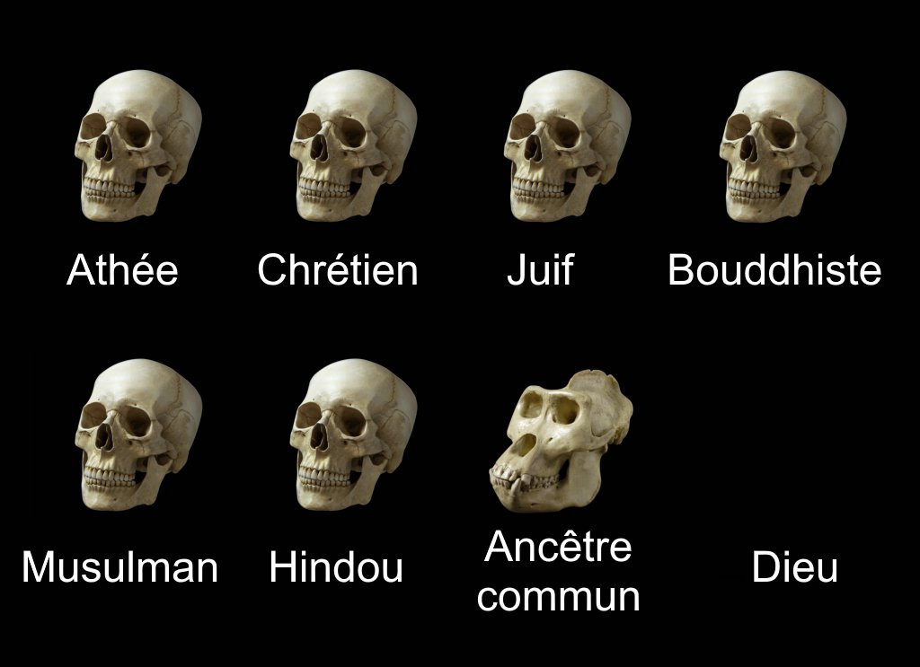 Votre voisin athée (@voisinathee) on Twitter photo 