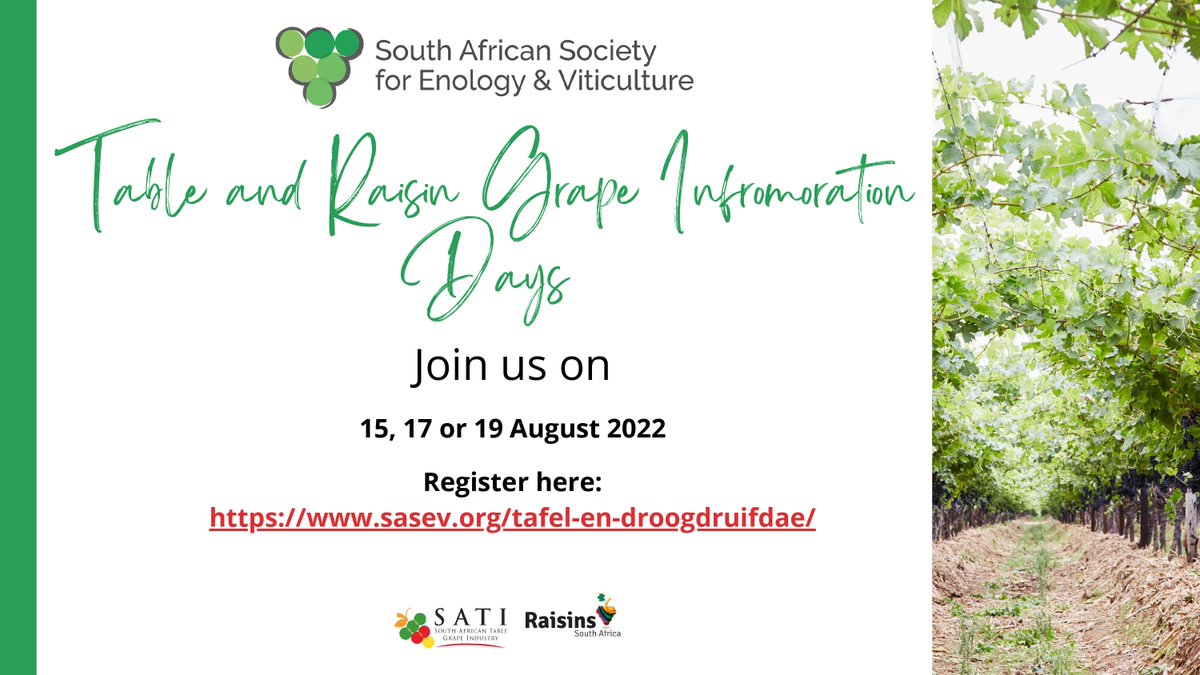 One week to go before the SASEV Table and Raisin Grape Information Days!!!

Register here:
sasev.org/tafel-en-droog…

#Registernow #relevantcontent #KnowledgeTransfer #tablegrapes #driedgrapes