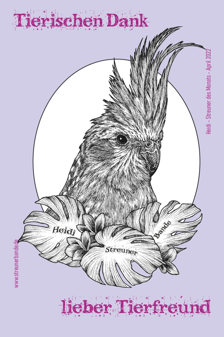 Gibt es hier noch ein #Leben auf Twitter? Lasst doch gern mal einen RT da, wenn Ihr mehr von #tierheim #freiberg <a href="/tierheimblogger/">Tierheim Freiberg</a> lesen würdet. Heidi sagt schon mal #Danke für eure Interaktion.