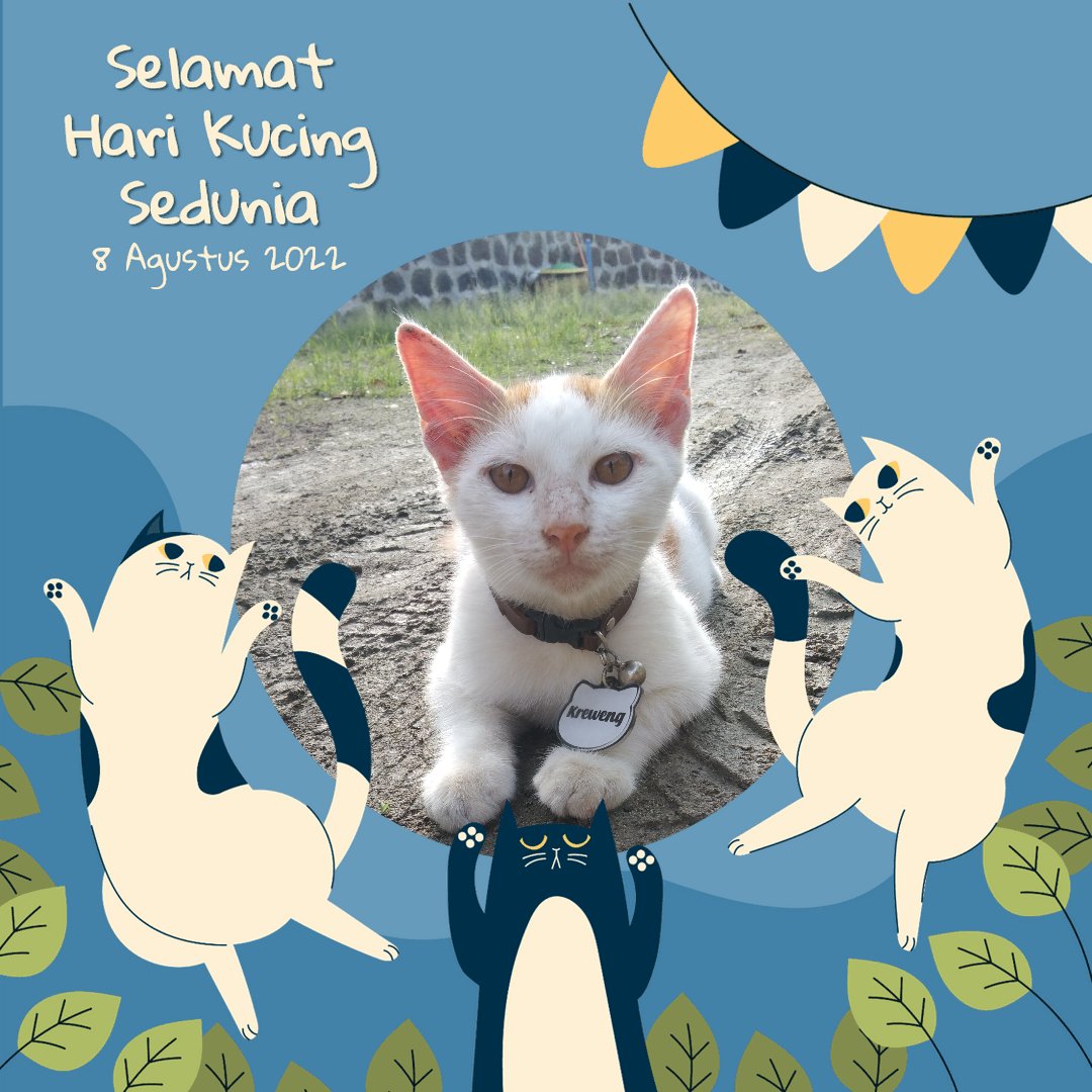 metmetmetallic's tweet photo. wengwrngwerng ikutan om metmet hari kucing seduniyahh https://t.co/OopYoWIPOJ