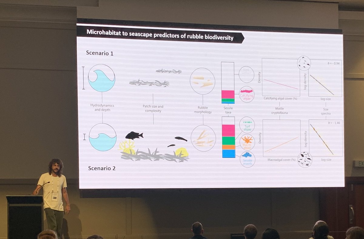 Amelia Desbiens (@ameliadesbiens) on Twitter photo Certified rubble master <a href="/kennylwolfe/">Kenny Wolfe</a> rounding out a great first day at #AMSA22 with exciting new research on key predictors of coral rubble composition & associated cryptofauna from microhabitats to seascapes Certified rubble master <a href="/kennylwolfe/">Kenny Wolfe</a> rounding out a great first day at #AMSA22 with exciting new research on key predictors of coral rubble composition & associated cryptofauna from microhabitats to seascapes