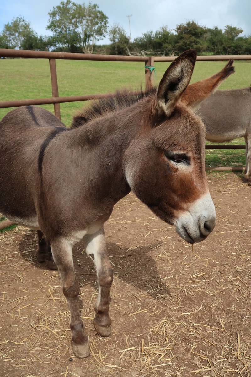 dinky_donks's tweet photo. Mimi says “It’s a good week to have a good week”🤩 https://t.co/RTSLHfxC9O