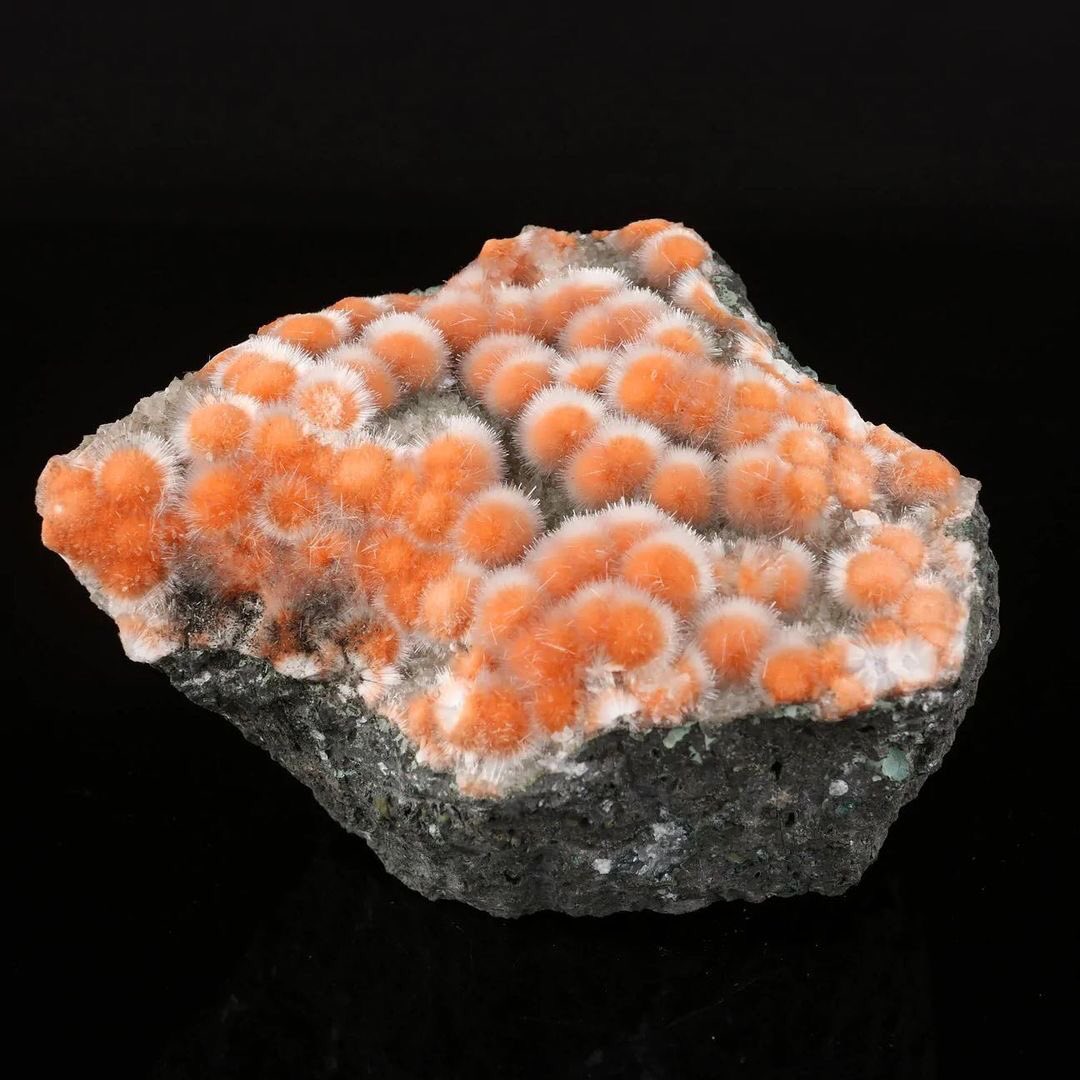 Gargoti's tweet photo. Top Notch 🔥
Stunning Specimen of Rare Orange Thomsonite Ball with Secondary Growth of Fine Mesolite Spikes
4 x 3 inch
Madhya Pradesh, India 🇮🇳
#gargotimuseum #thomsonite #mesolite #minerals #fineminerals #geode #geology #mineralogy #finemineral https://t.co/KcJMwULnq7